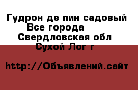 Гудрон де пин садовый - Все города  »    . Свердловская обл.,Сухой Лог г.